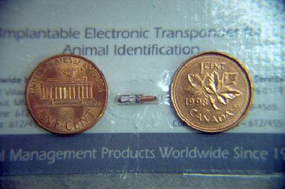 coins and microchip