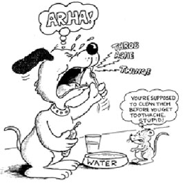 dog and mouse cartoon