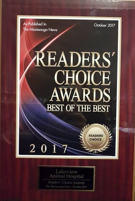 readers choice 2017 award