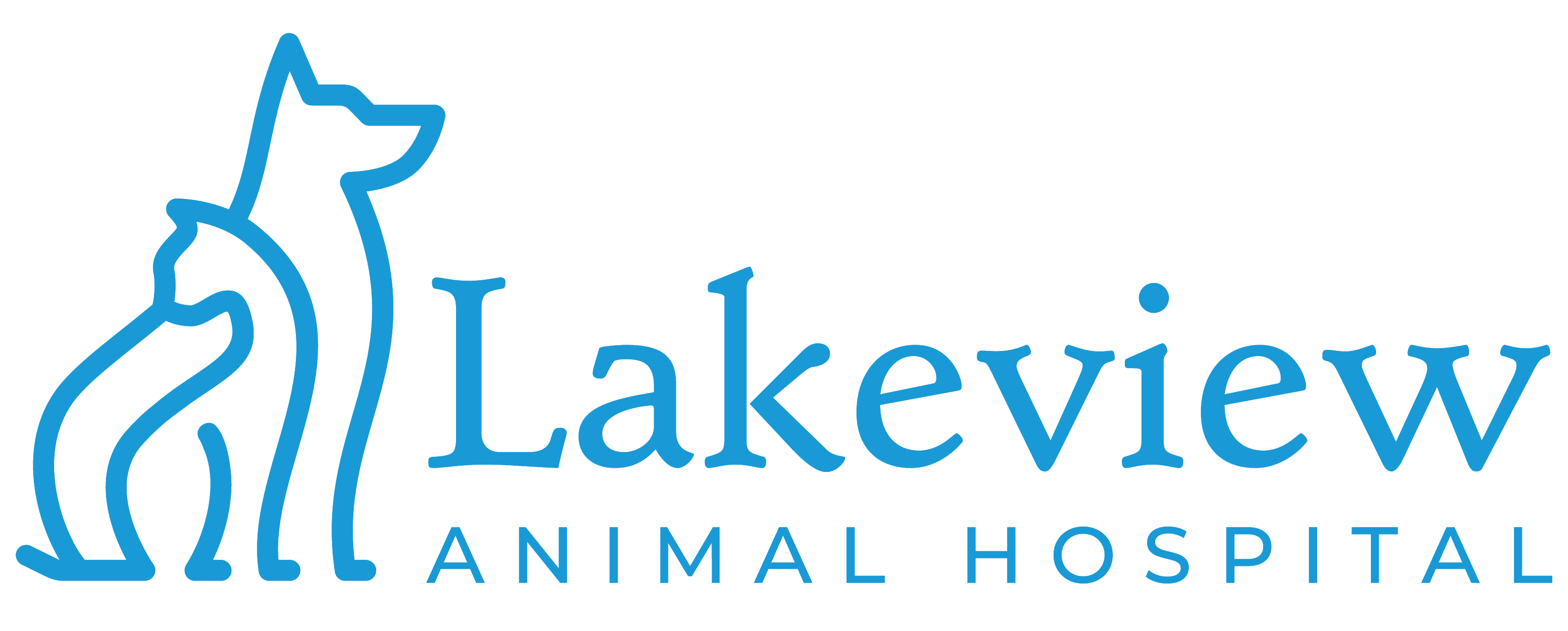 Lakeview Animal Hospital